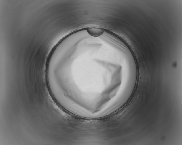 X0000116760902201001071153