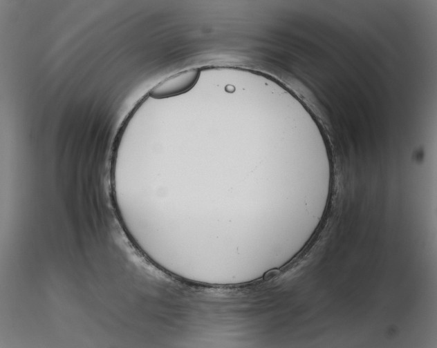 X0000116760904201001071153