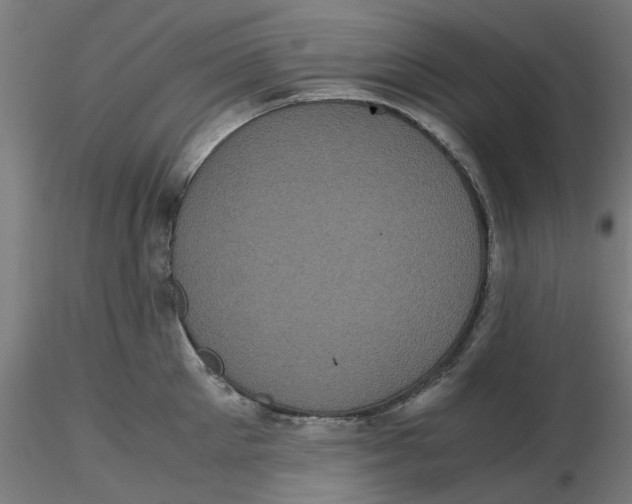 X0000116760905201001071153