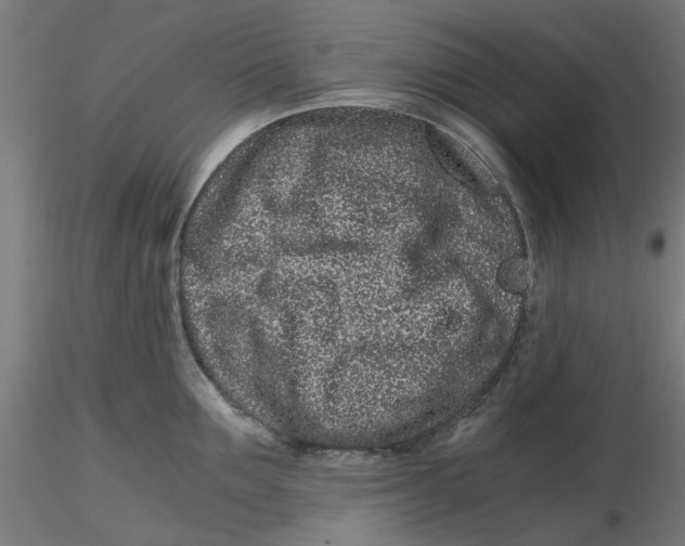 X0000116760907201001071152