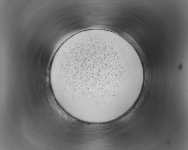 X0000116760908201001071152