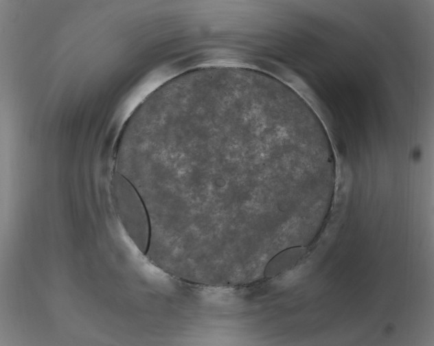 X0000116760909201001071152