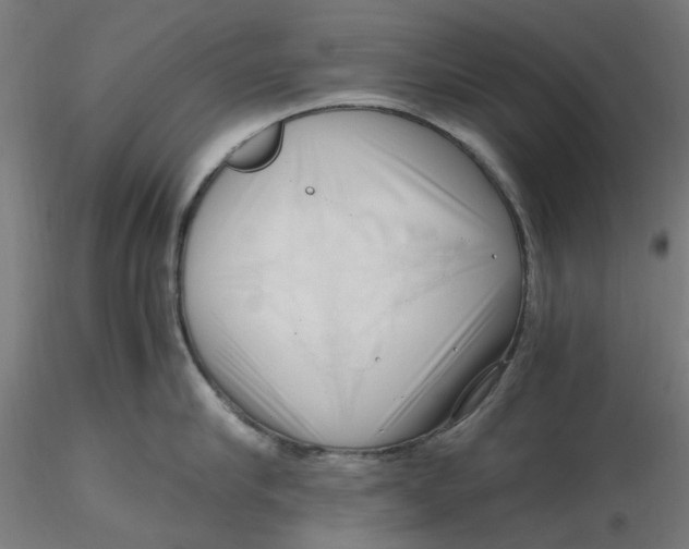 X0000116760910201001071152