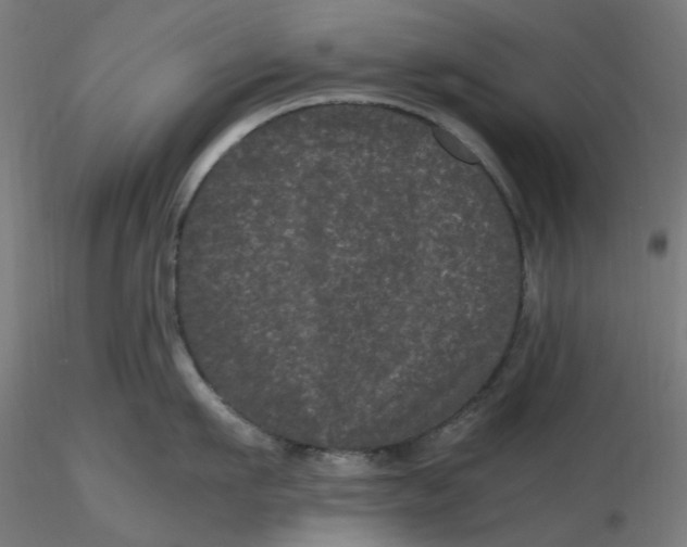 X0000116760911201001071152