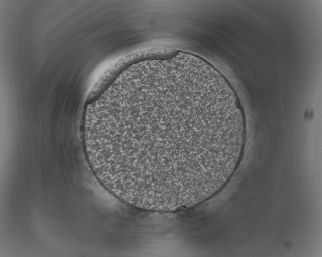 X0000116760912201001071152