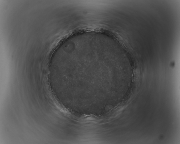 X0000116760913201001071152