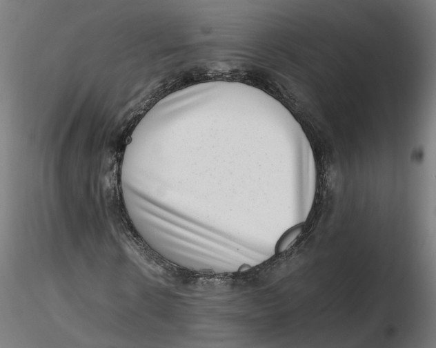 X0000116760914201001071152