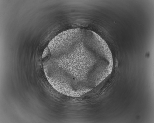 X0000116760915201001071152