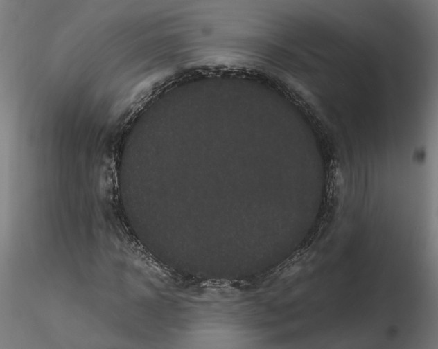 X0000116760918201001071152