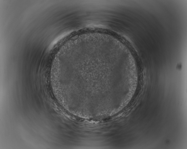 X0000116760919201001071152