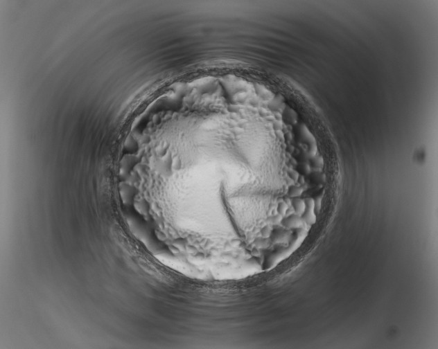 X0000116760921201001071152