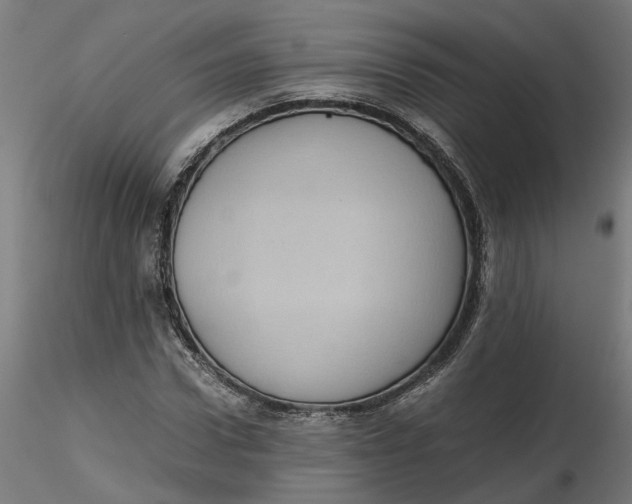 X0000116760922201001071152