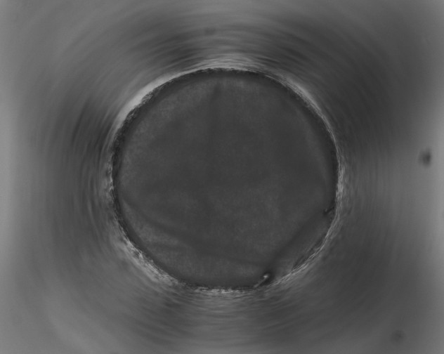 X0000116760923201001071152