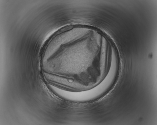 X0000116760925201001071152