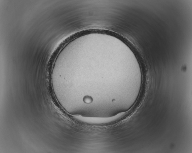 X0000116760926201001071152