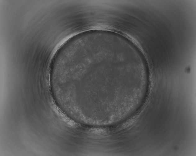 X0000116760931201001071152