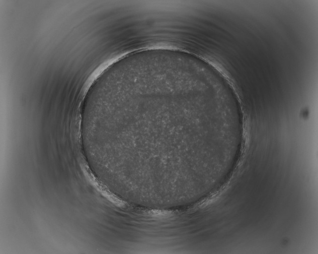 X0000116760933201001071152