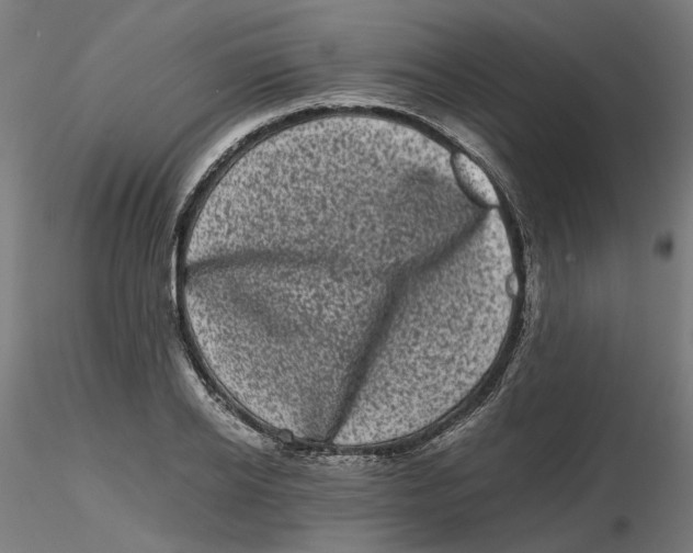 X0000116760934201001071152