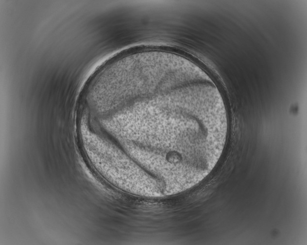 X0000116760935201001071152