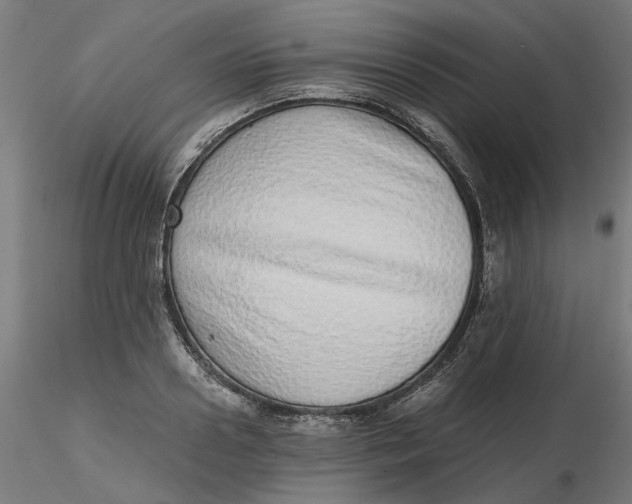 X0000116760938201001071152