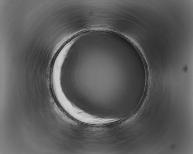 X0000116760941201001071152