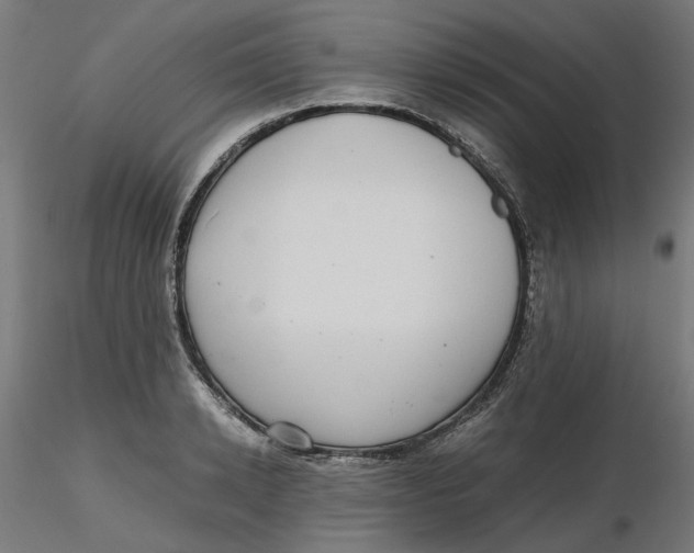 X0000116760942201001071152