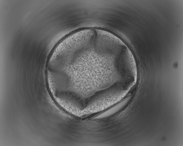 X0000116760943201001071152