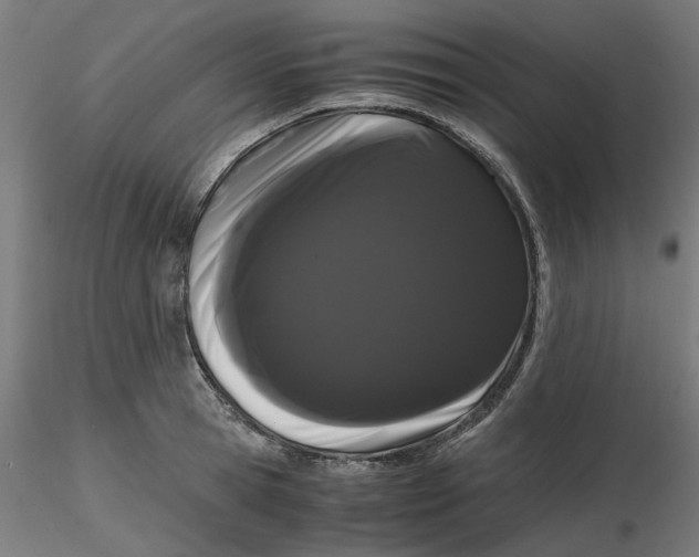 X0000116760945201001071152