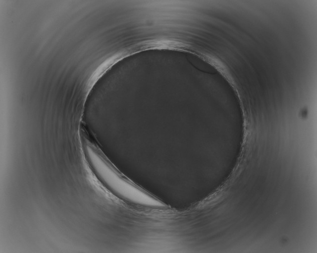 X0000116760946201001071152