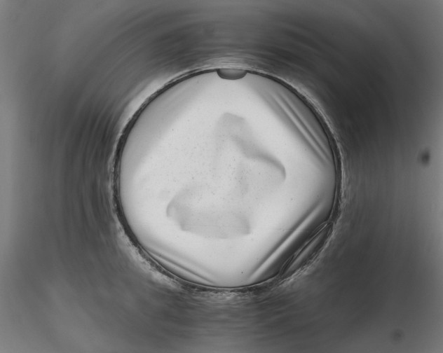 X0000116760949201001071152