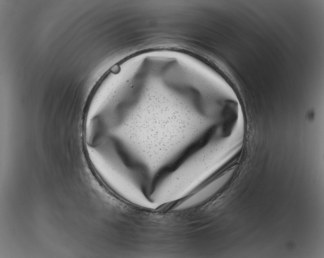 X0000116760951201001071152