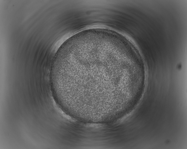 X0000116760953201001071152