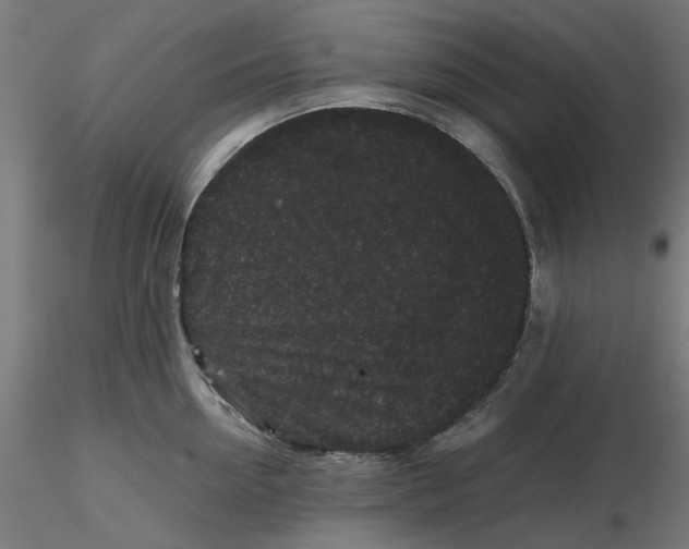 X0000116760954201001071152