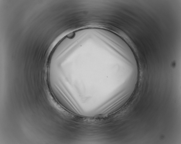 X0000116760955201001071152