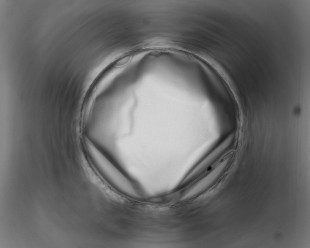 X0000116760957201001071152