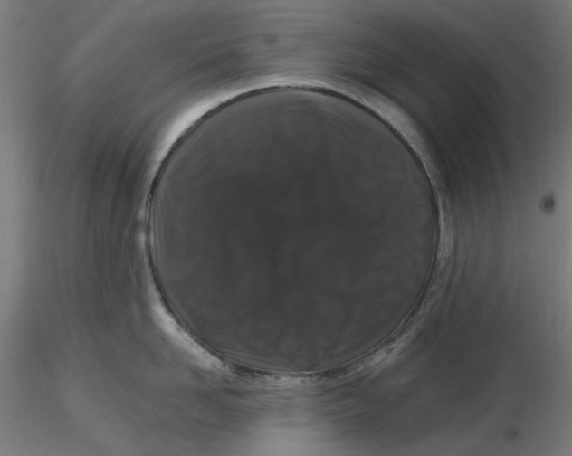 X0000116760958201001071152