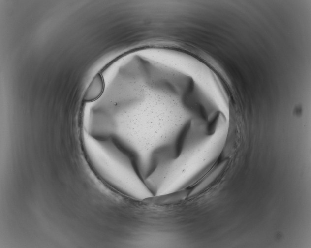 X0000116760959201001071152