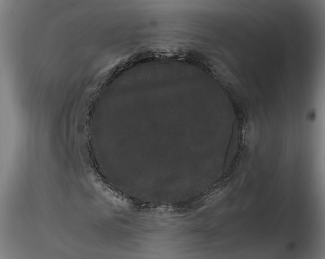 X0000116760961201001071152