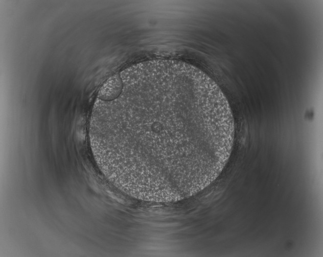 X0000116760962201001071152