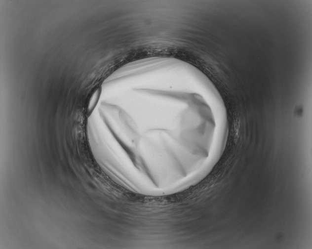 X0000116760964201001071152