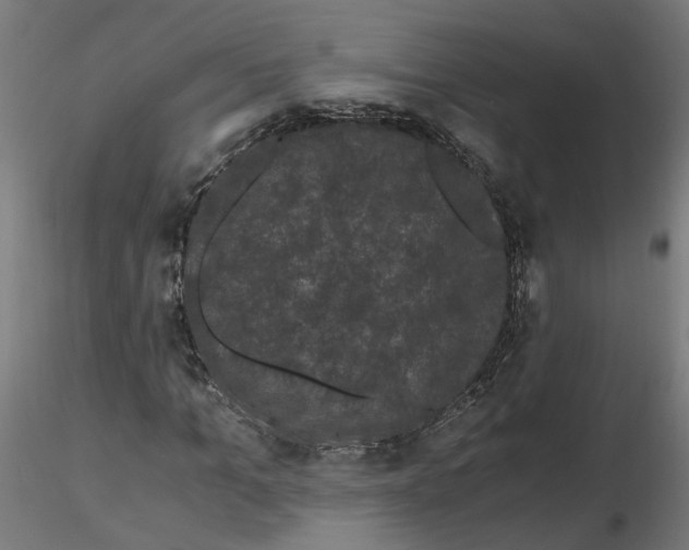 X0000116760965201001071152