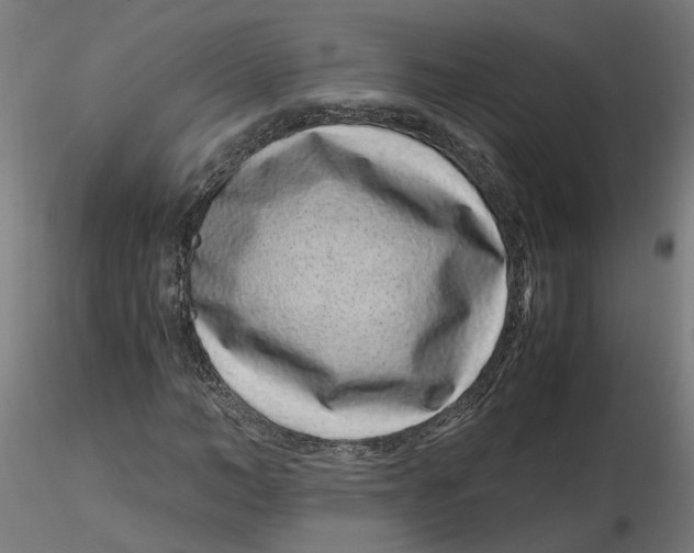 X0000116760966201001071152