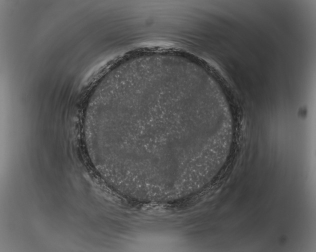 X0000116760967201001071152