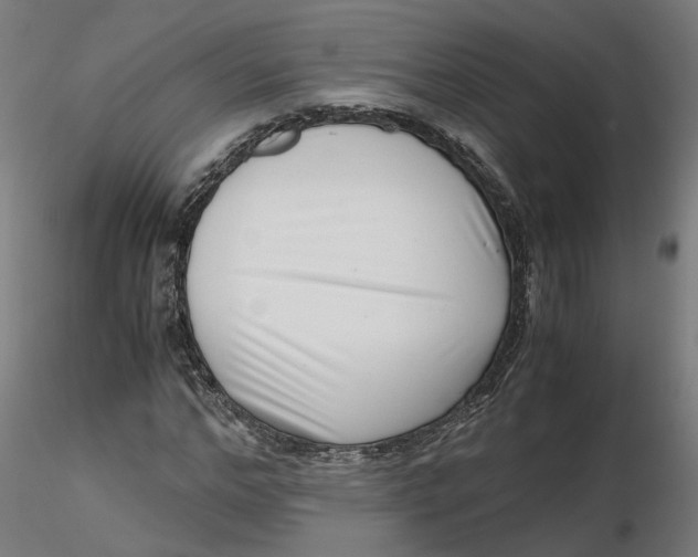 X0000116760968201001071152