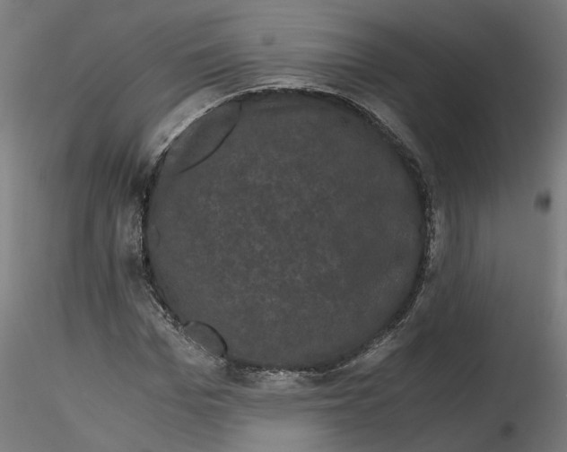 X0000116760969201001071152