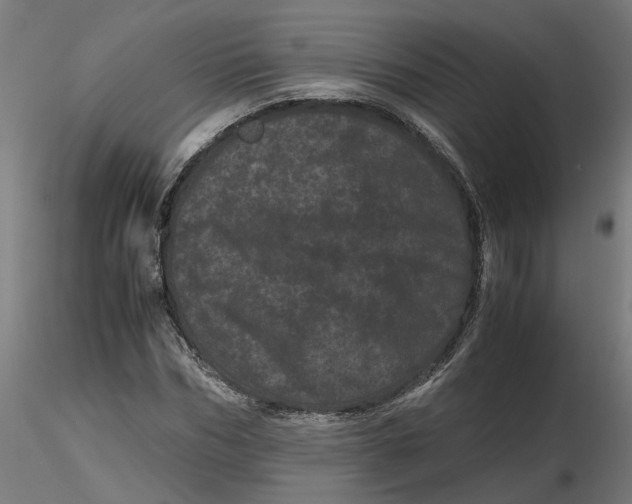 X0000116760970201001071152