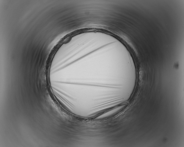 X0000116760972201001071152