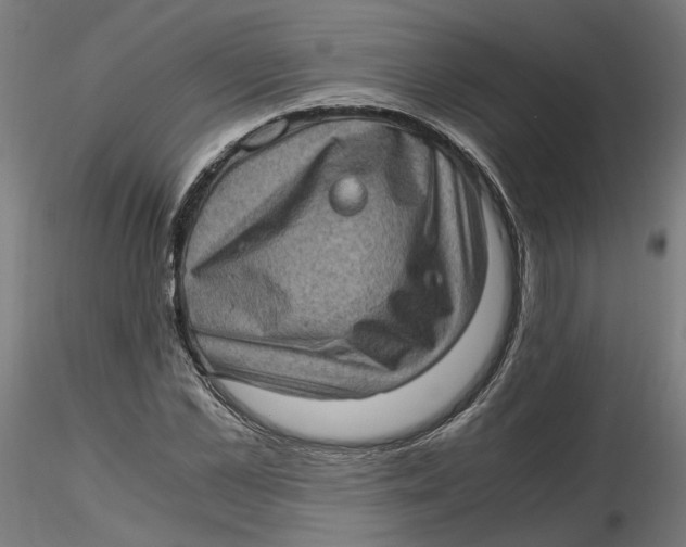 X0000116760973201001071152