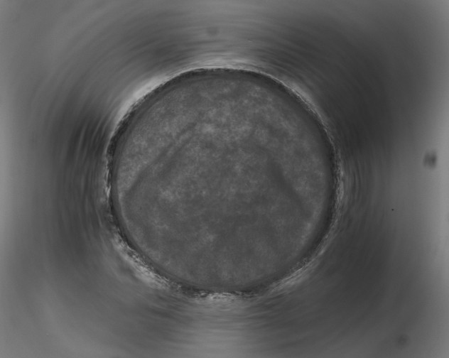 X0000116760974201001071152