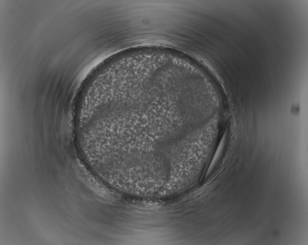 X0000116760975201001071152